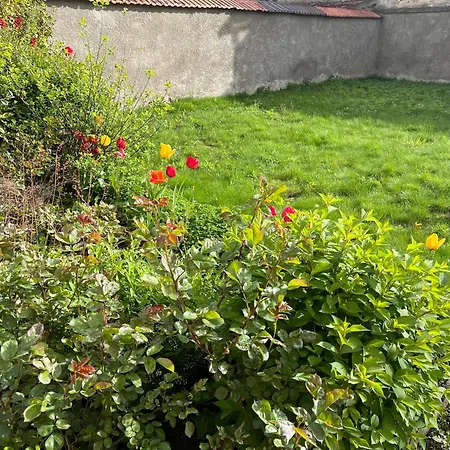 Apartamento F2 Vu Sur L Allier Pour 6 Pers