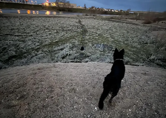 F2 Vu Sur L Allier Pour 6 Pers Lägenhet